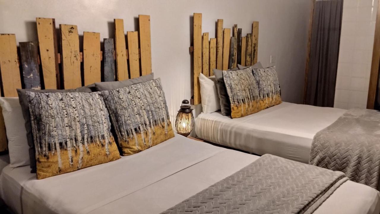 Casa Hotel 3*